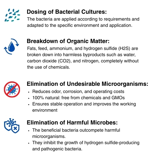 Dosing of bacterial cultures